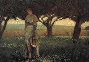 The girl in the orchard Winslow Homer